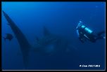 los roques 12-04 207.jpg